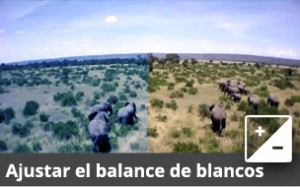 whitebalance-on_es